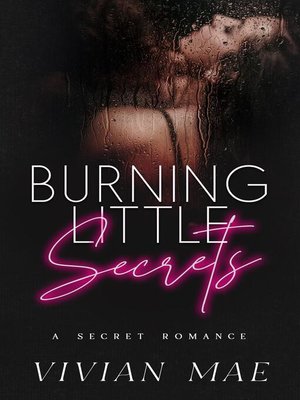 cover image of Burning Little Secrets